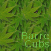 2006 Barre Cubs